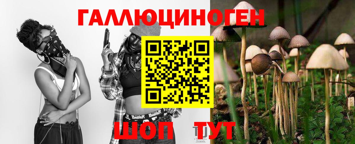 Псилоцибиновые грибы GOLDEN TEACHER Тихорецк