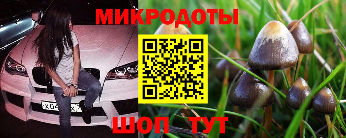 Псилоцибиновые грибы мухоморы  Вход с VPN  Псилоцибиновые грибы Psilocybine cubensis  Тихорецк 